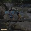 川遊びキャンプ完全ガイド 12年子連れの安全装備＆親の動き方 - アイキャッチ