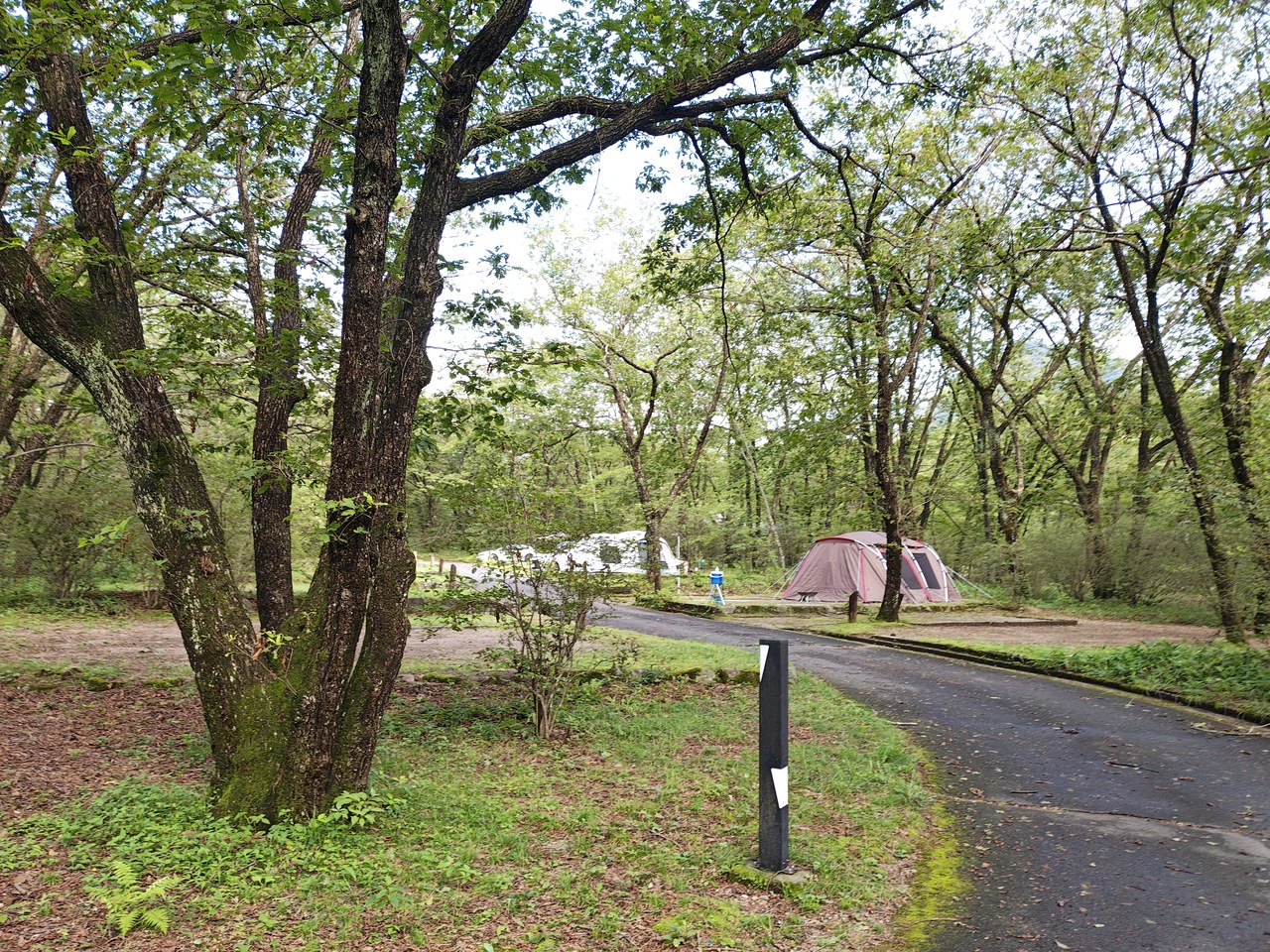 榛名湖オートキャンプ場の区画サイトと場内通路